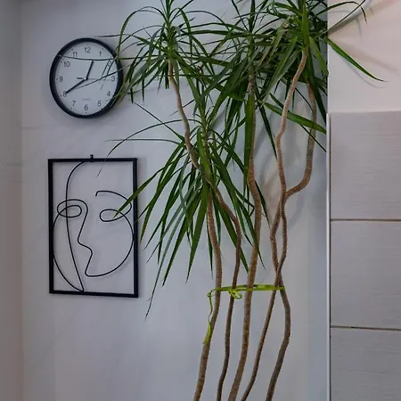 Mima Apartment